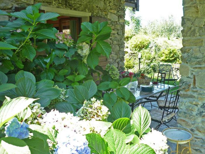 Villa Erica Con Piscina Privata Sul Lago Di Como Colico Exterior foto