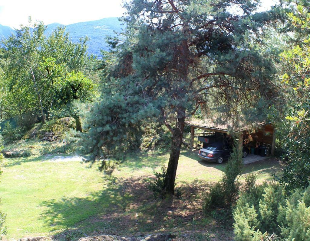 Villa Erica Con Piscina Privata Sul Lago Di Como Colico Exterior foto